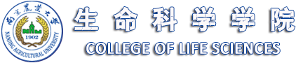 bat365官方网站